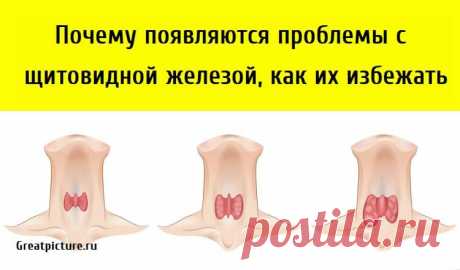 Почему появляются проблемы с щитовидной железой, как их избежать Почему появляются проблемы с щитовидной железой, как их избежать.Проблемы со щитовидной железой на удивление распространены,они