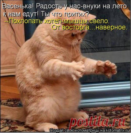 Котоматрица - лучшее лекарство от скуки!