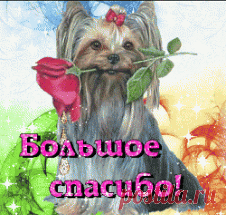 Советы дачникам.