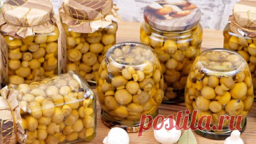 Маринованные грибы на зиму без стерилизации! Рецепт маринада для грибов! Маринованные шампиньоны! | Дина, Коллекция Рецептов | Дзен