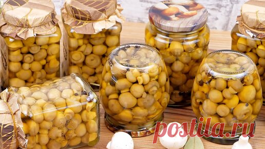 Маринованные грибы на зиму без стерилизации! Рецепт маринада для грибов! Маринованные шампиньоны! | Дина, Коллекция Рецептов | Дзен