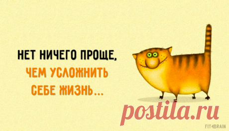 Что правда, то правда.