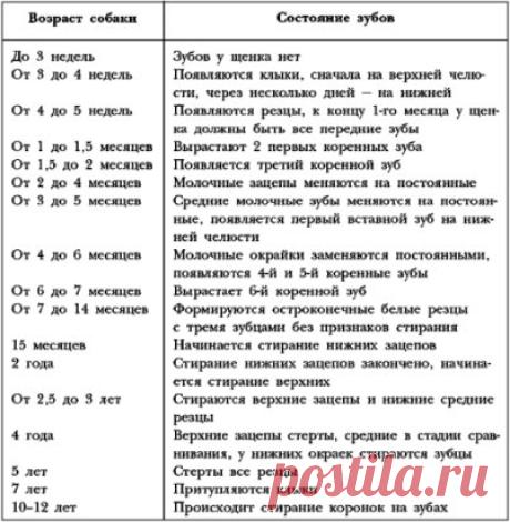 Это надо знать.