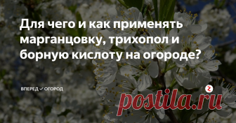Для чего и как применять марганцовку, трихопол и борную кислоту на огороде? В настоящее время существует очень много препаратов для борьбы с заболеваниями и оказания помощи нашим растениям. Но давайте вспомним и о тех, которые существуют давно и всё также эффективны.
Марганцовка
Прекрасное средство для профилактики и лечения вирусных и грибковых заболеваний. Еще совсем недавно купить его было большой проблемой, но все встало на свои места, и калия перманганат (именно так