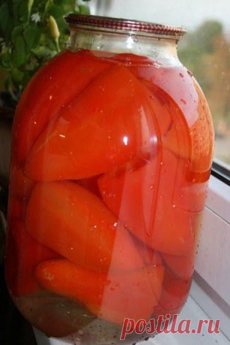 &gt;Перец целый, консервированный, для зимней фаршировки