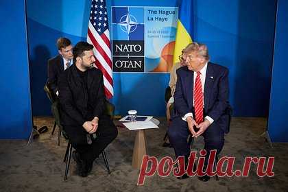 Зеленского назвали «моськой для Трампа»