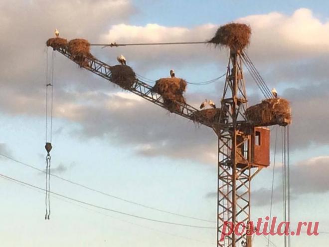 Интересные новости