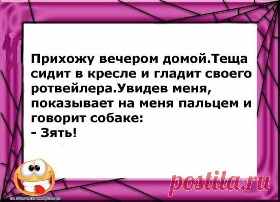 «Возможно, это изображение (один или несколько человек и текст «прихожу вечером домой.теща сидит в кресле и гладит своего ротвейлера.увидев меня, показывает на меня пальцем и говорит собаке: -зять! ணരമ» — карточка пользователя Татьяна Кармишина в Яндекс.Избранном