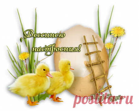 Весенние цветы. Работы фотохудожника Chark.