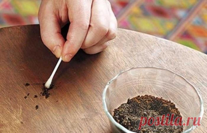 12 продуктов, которые могут заменить магазинные чистящие средства во время уборки