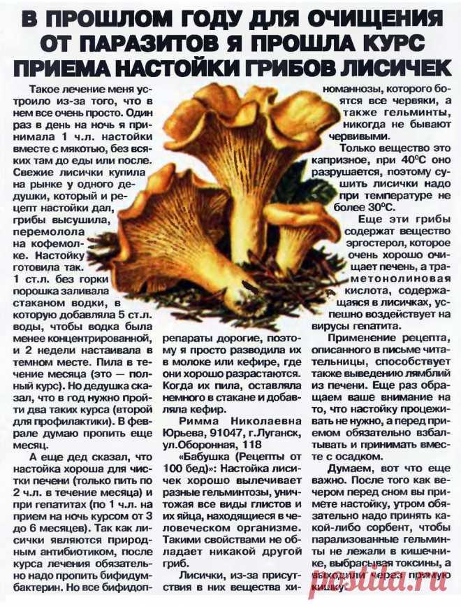 Лисички от паразитов