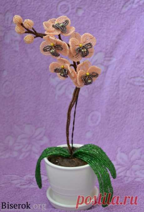 &quot;Orchid Bead&quot; Орхидея из бисера / Цветы / Biserok.org