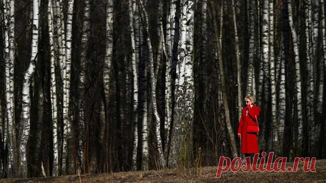 Люди чаще всего теряются в городе, а не в лесу, рассказали в "ЛизаАлерт"