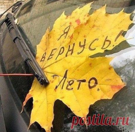 Лариса Корховая