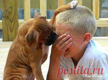 - Ну не плачь! Лучше покажи, кого укусить!