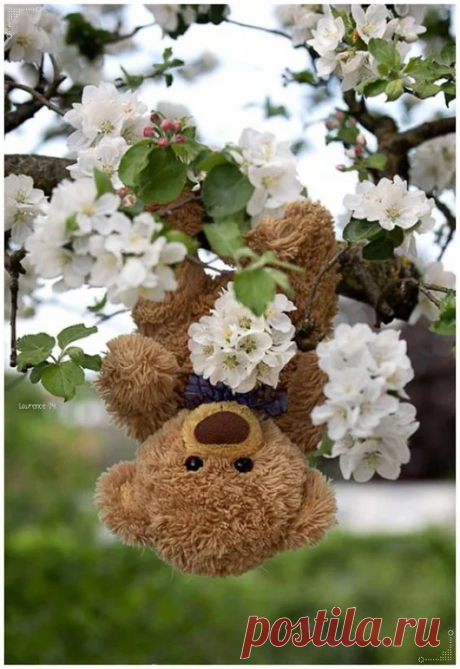 Laurence 74 - Google+