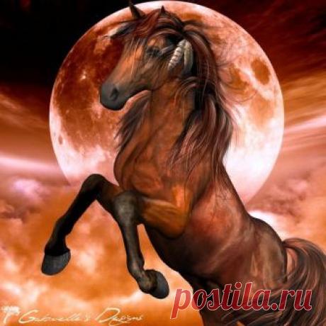 Moon Dancer by Gabriellebri on DeviantArt