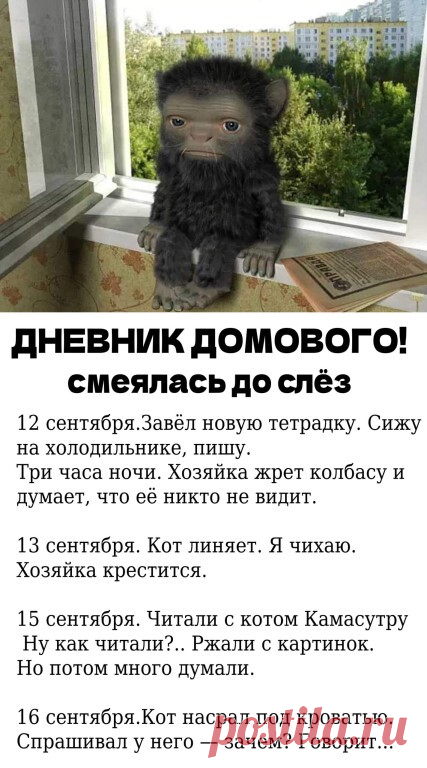 — само как то вырвалось. Переживает. Спрашивает у меня, где можно схорониться на пару дней.

17 сентября. Хозяйкин хахаль полез за тапочками и вляпался в… историю. Кот сидел на шкафе и делал вид, что вытирал там пыль. Хахаль полез за ним, на#нулся и сломал руку. Я от смеха упал вместе с люстрой на хозяйку. По календарю — благоприятный день.

19 сентября. Хахаль пока не приходит. Хозяйка налупила тапком кота. Теперь он со мной не разговаривает. Я то причём?

20 сентября. По...