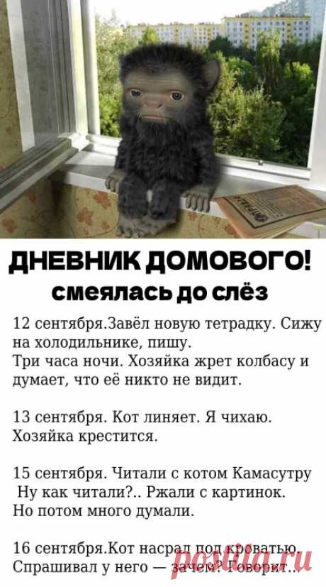 — само как то вырвалось. Переживает. Спрашивает у меня, где можно схорониться на пару дней.

17 сентября. Хозяйкин хахаль полез за тапочками и вляпался в… историю. Кот сидел на шкафе и делал вид, что вытирал там пыль. Хахаль полез за ним, на#нулся и сломал руку. Я от смеха упал вместе с люстрой на хозяйку. По календарю — благоприятный день.

19 сентября. Хахаль пока не приходит. Хозяйка налупила тапком кота. Теперь он со мной не разговаривает. Я то причём?

20 сентября. По...