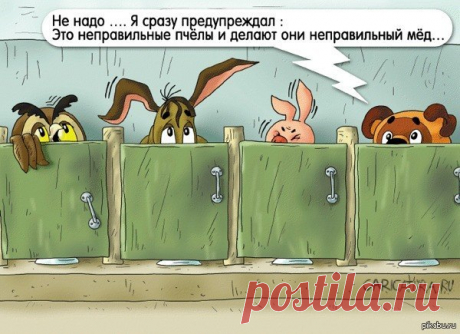 Немного юмора