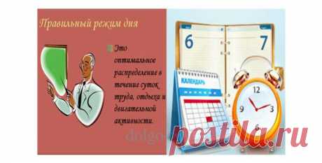 РАСПОРЯДОК ДНЯ В ОТСЧЁТЕ ВРЕМЕНИ ПОД БИОЛОГИЧЕСКИЕ РИТМЫ