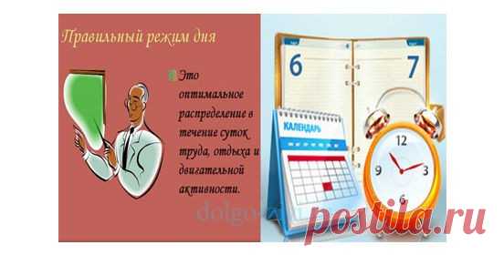 РАСПОРЯДОК ДНЯ В ОТСЧЁТЕ ВРЕМЕНИ ПОД БИОЛОГИЧЕСКИЕ РИТМЫ