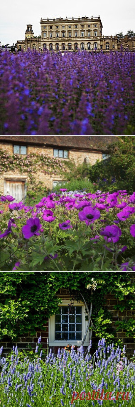 @nationaltrust • Фото и видео в Instagram