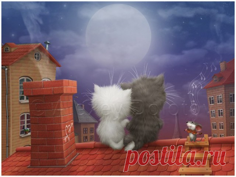 Любителям котов и кошек.