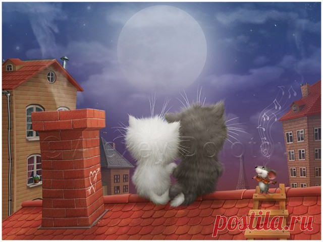 Любителям котов и кошек.