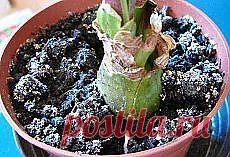 Яндекс.Почта