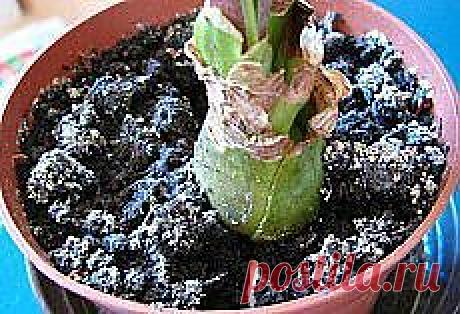 Яндекс.Почта