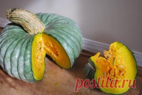 Поразительные сорта тыквы — и вкусные, и красивые. Описание. Сквош. Фото — Ботаничка.ru