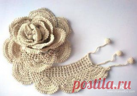 beautiful rose diagram | Outras malhas