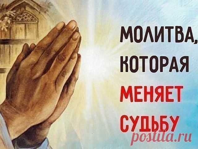 Молитва святому Николаю Чудотворцу, которая изменит судьбу!
Не все верят в чудо и силу молитвы, но если возникают непреодолимые жизненные трудности, остается только молиться. В моей семье особо почитался святой Николай, потому что так звали отца. Знаю с детства образ этого приятного старца, его лицо кажется таким добрым и всё понимающим.
Святой Николай Чудотворец слышит молитвы миллионов верующих и является посредником между обычными людьми и Всевышним. Он способен помочь ...