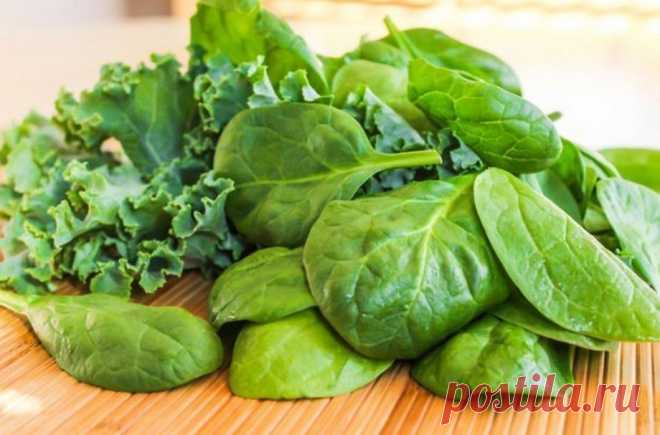 ПРОДУКТЫ, ВЫВОДЯЩИЕ ЯДЫ ИЗ ОРГАНИЗМА.... 
Картофель, сваренный в кожуре. Содержащийся в нем крахмал не переваривается вкишечнике. Он как бы напоминает сеть. В нее-то и попадают молекулы различных вредных соединений - начиная от нитратов и за…