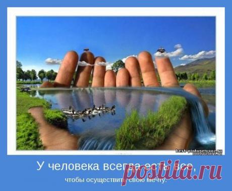 Успех, вместо того чтобы давать свободу выбора, становится образом жизни.
Артур Миллер