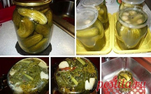 ОГУРЦЫ ИЗ ПОД КРАНА 

Я долго мучилась, чтобы иметь зимой хрустящие соленые огурчики. Разные способы консервирования испробовала. Но судьба меня не оставила без внимания и послала мне... приятельницу из Киева, от нее я и узнала простейший способ консервирования огурчиков, которым пользуются киевлянки (как она мне сказала) и этот способ так и называется 