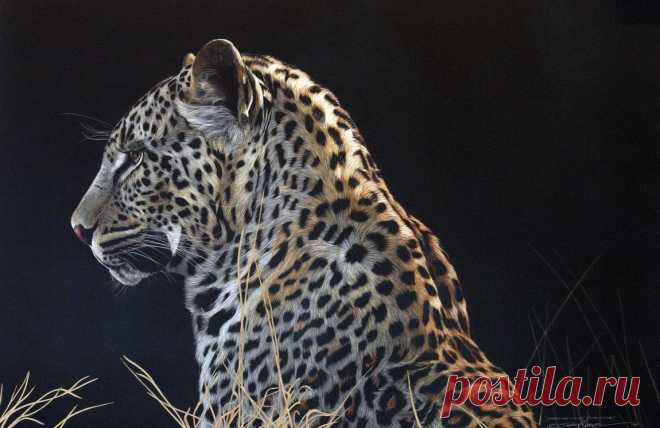 the latest - Sally Maxwell, master scratchboard artist