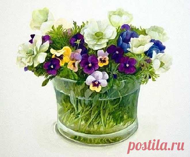 Анютины глазки.
