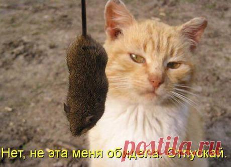 Интересные новости