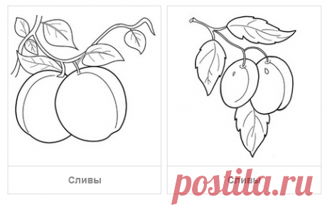 Раскраски Фрукты - скачать или распечатать