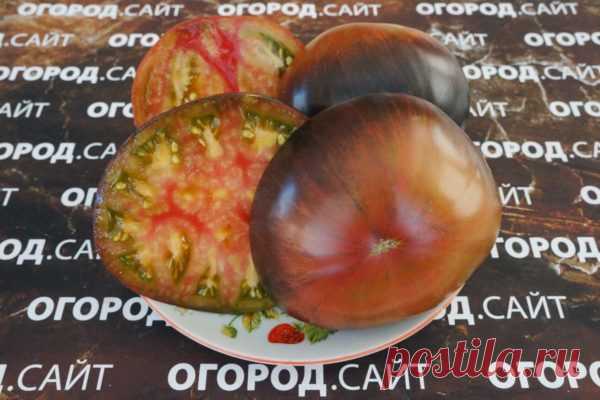 Томат Блаженство, семена | ОГОРОД.сайт