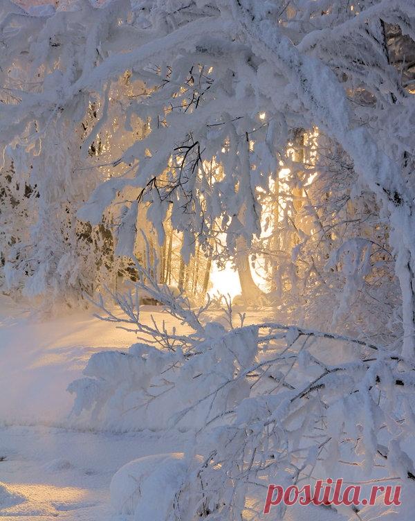 Финский фотограф Kari Liimatainen (Зимние пейзажи).