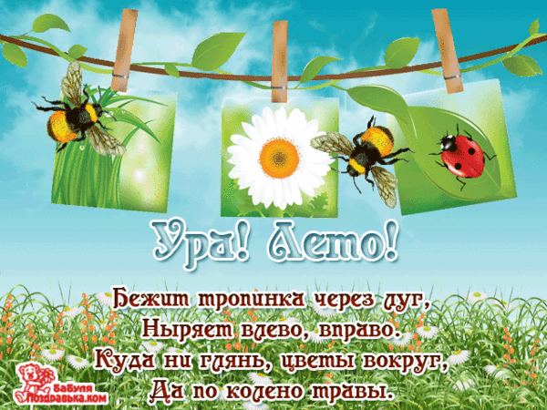 Тема недели : Летний калейдоскоп эмоций ! – ♥ღ♥ Откровенный разговор ♥ღ♥ , пользователь ♥ღ♥ Иришка ♥ღ♥ | Группы Мой Мир