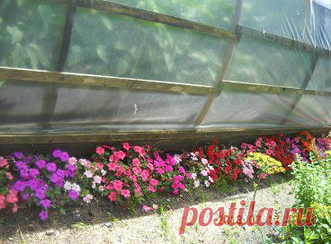 (2) Одноклассники