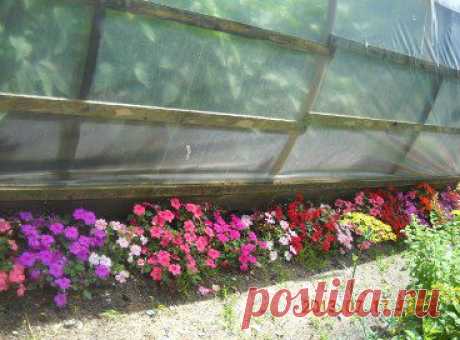 (2) Одноклассники