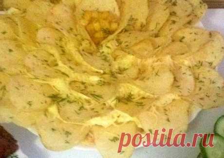 Салат "Парус" Автор рецепта Светлана - Cookpad