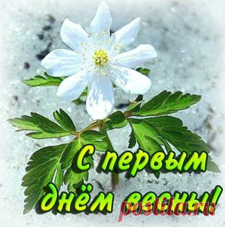 С Весной!