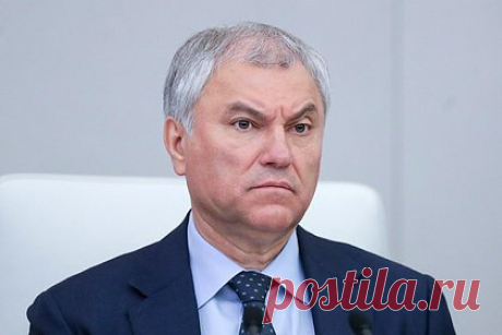 Володин отреагировал на ордер МУС на арест премьер-министра Израиля