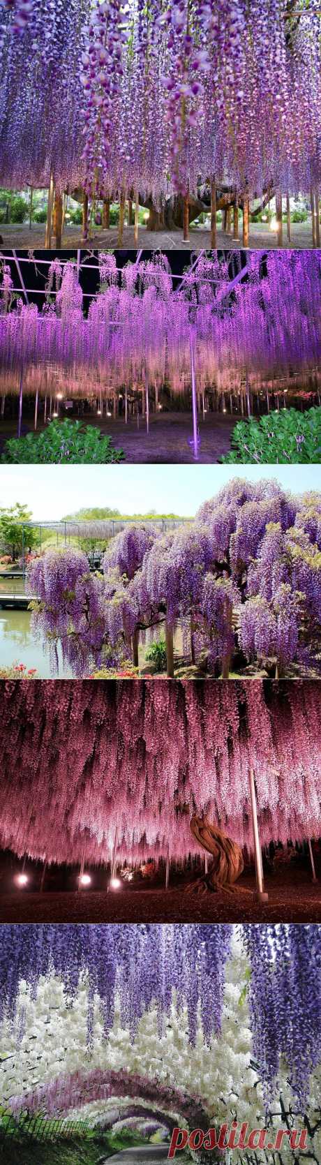 ПРОГУЛКА ПО РАЮ....